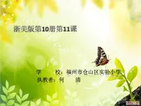 小学美术浙美版五年级下册11 植物写生课文课件ppt