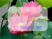 浙美版五年级下册18 映日荷花别样红课文配套ppt课件
