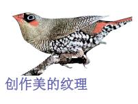 浙美版四年级下册15 创造美的纹理备课ppt课件