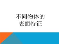 2021学年8. 不同物象的表面特征集体备课课件ppt