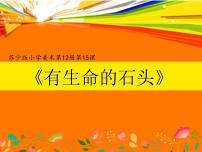 苏少版六年级下册15 有生命的石头授课课件ppt
