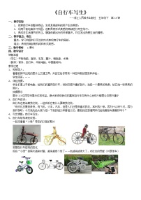 小学美术13 自行车写生教案