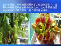 小学美术人美版二年级下册2.吃虫草课堂教学ppt课件