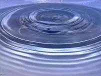 美术五年级下册3 线条的魅力教学ppt课件