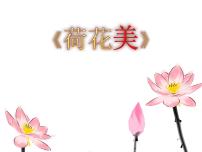 美术三年级下册第5课 荷花美课前预习ppt课件