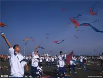 美术冀美版13.风筝飞满天课前预习ppt课件