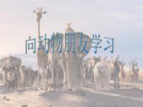 小学美术6 向动物朋友学习课前预习课件ppt