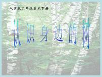 2020-2021学年3.认识身边的树评课ppt课件