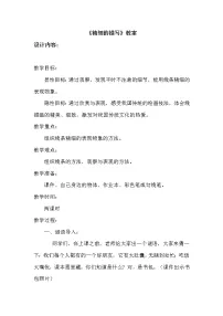小学美术人美版（北京）五年级上册3. 精致的描绘教学设计