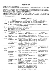 小学美术人美版三年级下册17.娇艳的花教案