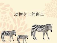 浙美版一年级上册17 动物身上的斑点集体备课ppt课件
