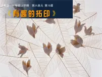 沪教版一年级上册15 有趣的拓印集体备课课件ppt