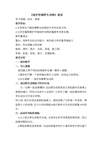 美术人教版第19课 保护珍稀野生动物教学设计及反思