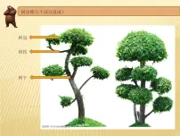 湘美版一年级下册第21课 小树快快长课文内容课件ppt