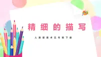 美术五年级下册6.精细的描写评优课教学课件ppt