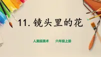小学美术人美版六年级上册11.镜头里的花获奖ppt课件