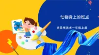 一年级上册17 动物身上的斑点优质ppt课件