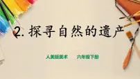 小学人美版2.探访自然的奇观优质课课件ppt