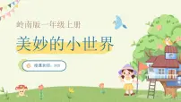 岭南版一年级上册1. 美妙的小世界课文内容ppt课件
