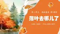 美术一年级上册（2024）第1课 落叶去哪儿了课文配套ppt课件