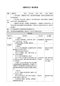 小学美术人美版（2024）四年级下册1.植物写生教学设计