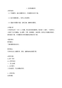 小学美术人美版（北京）(2024)六年级下册7. 走进收藏世界精品教学设计