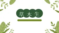 美术一年级下册（2024）第四单元 象形会意传文脉——草第15课 草木生课文内容ppt课件