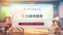 小学美术湘美版（2024）一年级下册（2024）第一单元 走进自然第1课 大树的模样公开课课件ppt