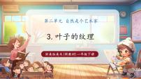 小学美术浙美版（2024）一年级下册（2024）3.叶子的纹理优质教学课件ppt