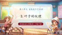 小学美术浙美版（2024）一年级下册（2024）3.叶子的纹理优质教学课件ppt