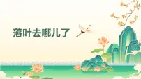 一年级上册（2024）落叶去哪儿了获奖教学课件ppt