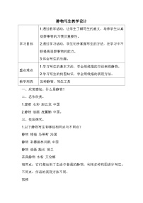 小学美术人教版（2024）五年级下册静物写生教案设计