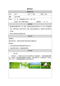 小学美术浙美版（2024）二年级下册春天在哪里表格教学设计及反思