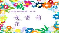 小学苏少版6 花儿朵朵（一）完美版ppt课件