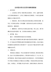 2020-2021学年第六章 球类运动第二节 小足球教案