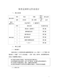 人教版 体育与健康    四年级上册   《足球》