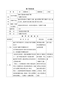 小学综合实践活动内蒙古版二年级上册主题活动三 影子的作用表格教学设计及反思