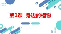 小学综合实践活动安徽大学版三年级上册第1课 身边的植物背景图ppt课件