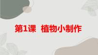 安徽大学版三年级上册植物小制作教案配套ppt课件