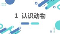 安徽大学版三年级下册认识动物课前预习课件ppt