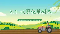 综合实践活动三年级下册第二单元 身边的植物一 认识花草树木优秀课件ppt