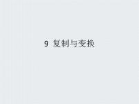 浙摄影版三年级上册第二单元 有趣的“画图”第9课 复制与变换课堂教学课件ppt