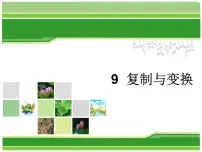 浙摄影版三年级上册第9课 复制与变换背景图ppt课件