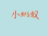 小学信息技术冀教版五年级下册第15课 小蚂蚁教案配套课件ppt