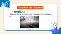 信息技术五年级下册第3课 观察系统精品作业ppt课件