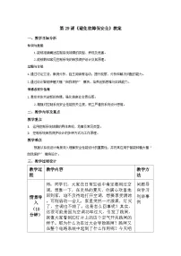 信息技术六年级全一册（2024）避免故障保安全教案