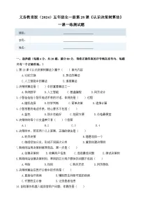小学人教版（2024）认识决策树算法精品精练
