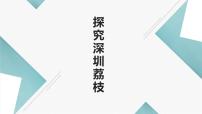 小学劳技北师大版一年级活动16  探究深圳荔枝备课ppt课件