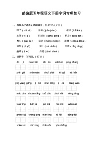 部编版五年级语文下册字词专项训练及答案