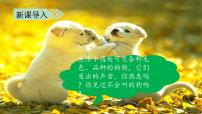 人教部编版三年级上册14* 小狗学叫图文ppt课件
